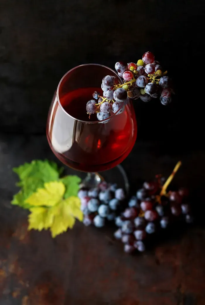 vin rouge raisins