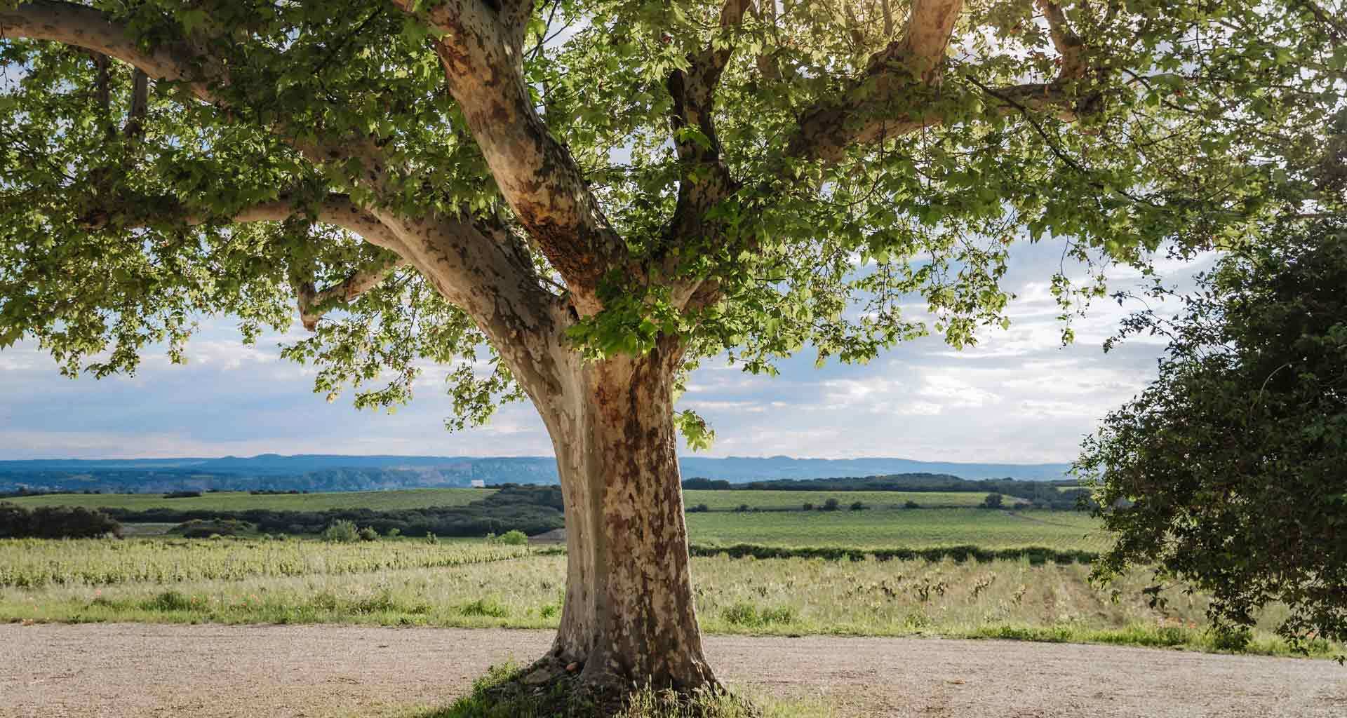 gite ferme de l'anesque
